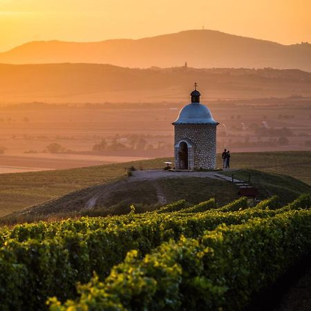 Vinoza - Ubytovani A Vinny Sklep Velke Bilovice Rulandova Exteriör bild