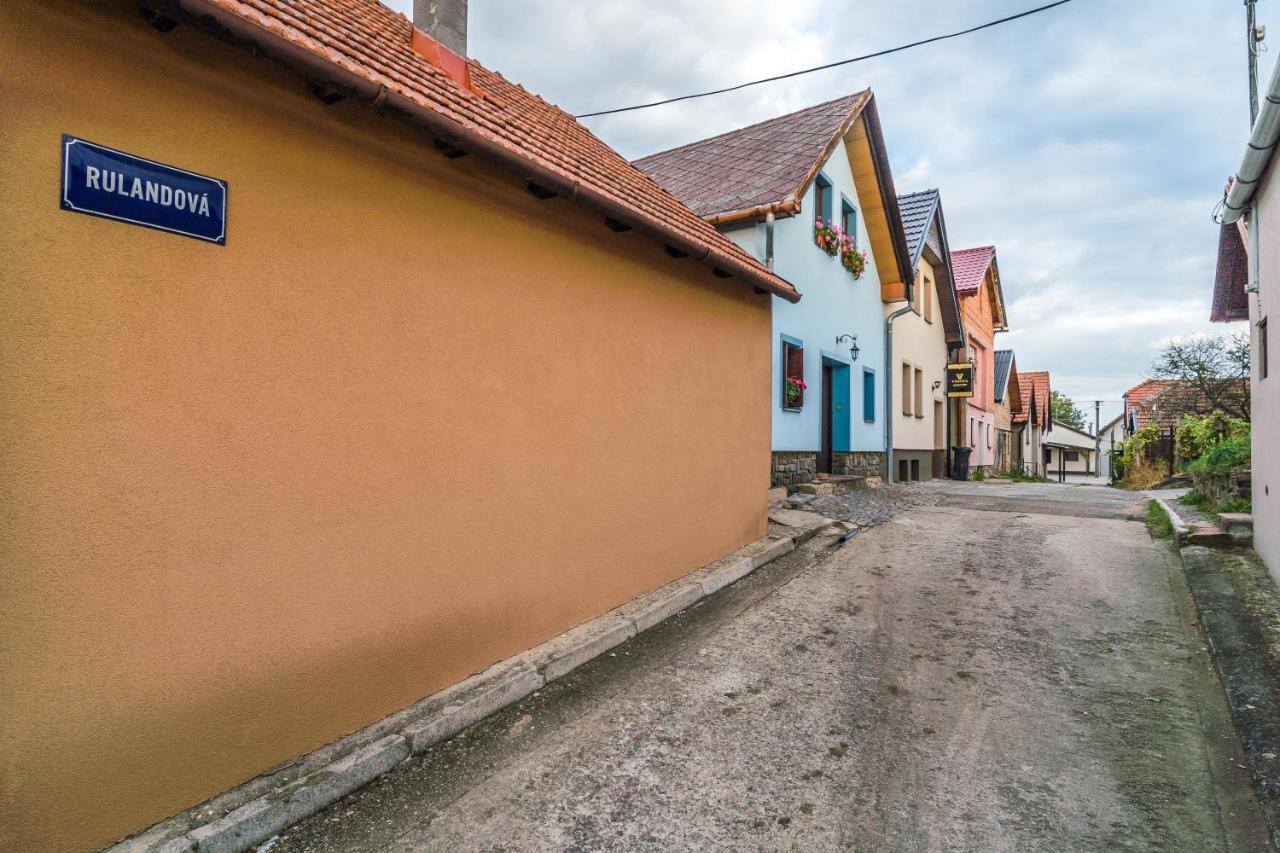 Vinoza - Ubytovani A Vinny Sklep Velke Bilovice Rulandova Exteriör bild