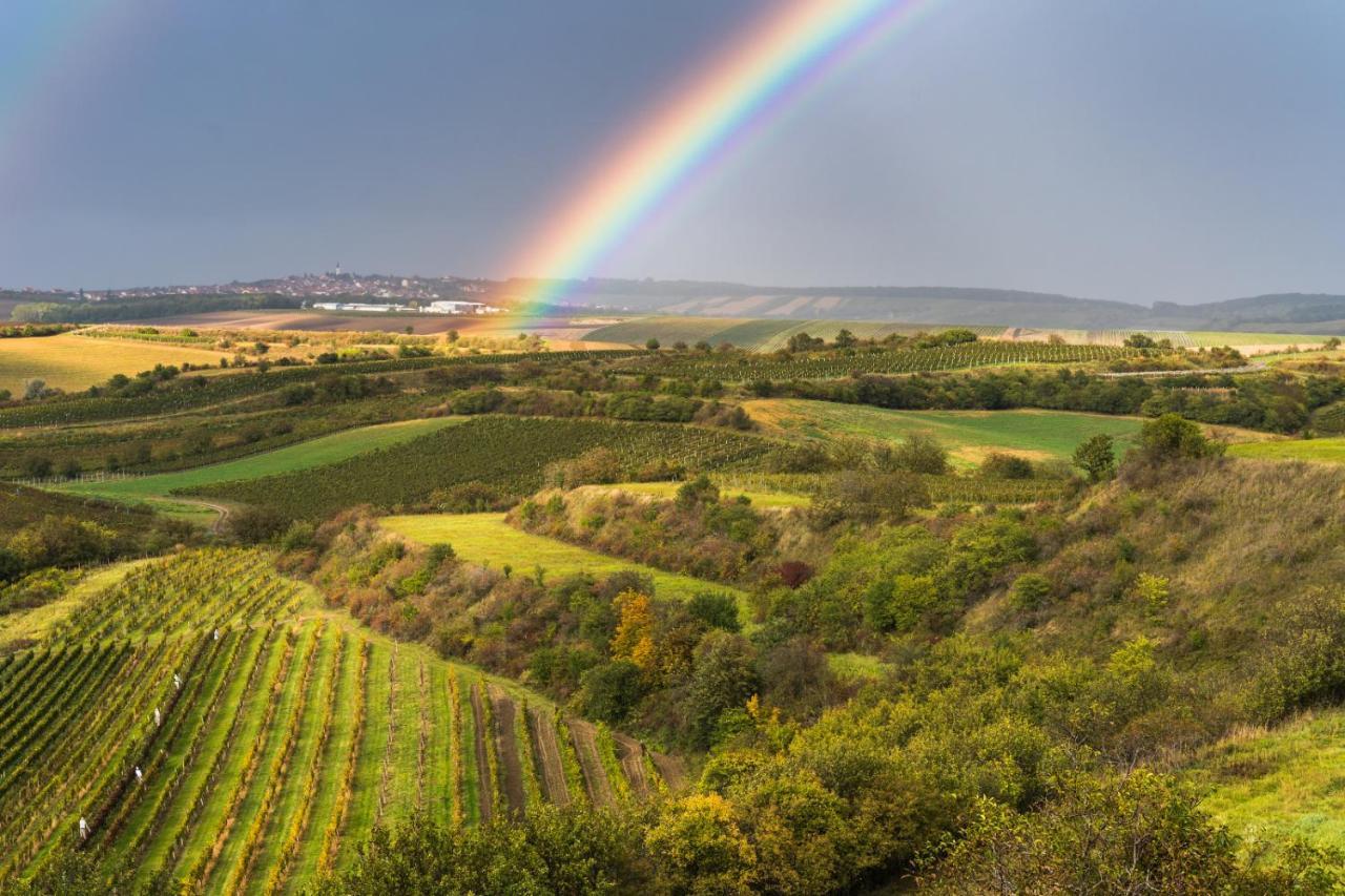 Vinoza - Ubytovani A Vinny Sklep Velke Bilovice Rulandova Exteriör bild