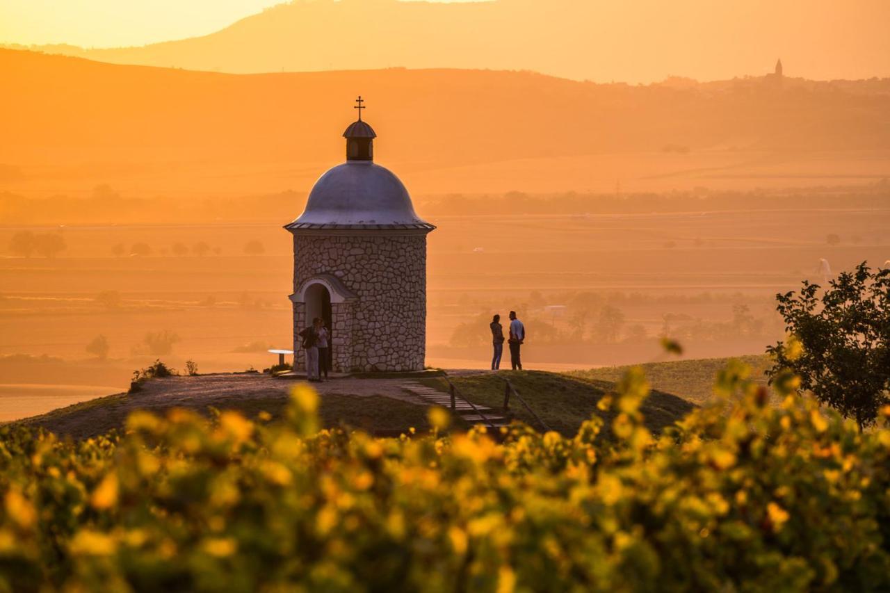 Vinoza - Ubytovani A Vinny Sklep Velke Bilovice Rulandova Exteriör bild