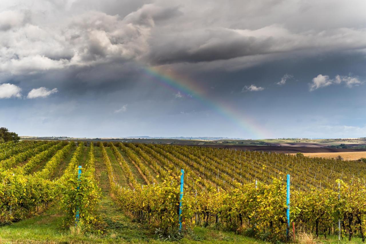 Vinoza - Ubytovani A Vinny Sklep Velke Bilovice Rulandova Exteriör bild