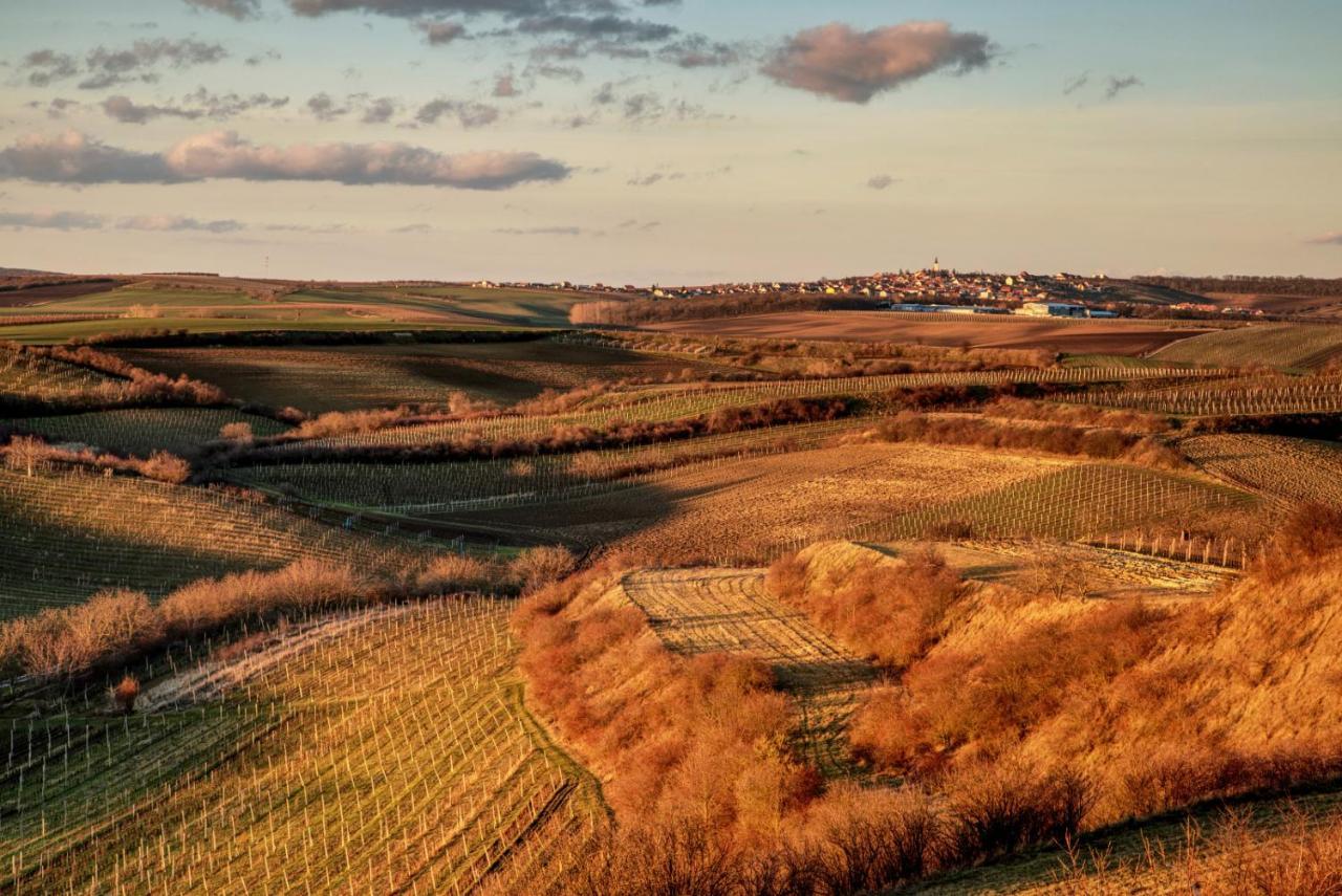 Vinoza - Ubytovani A Vinny Sklep Velke Bilovice Rulandova Exteriör bild