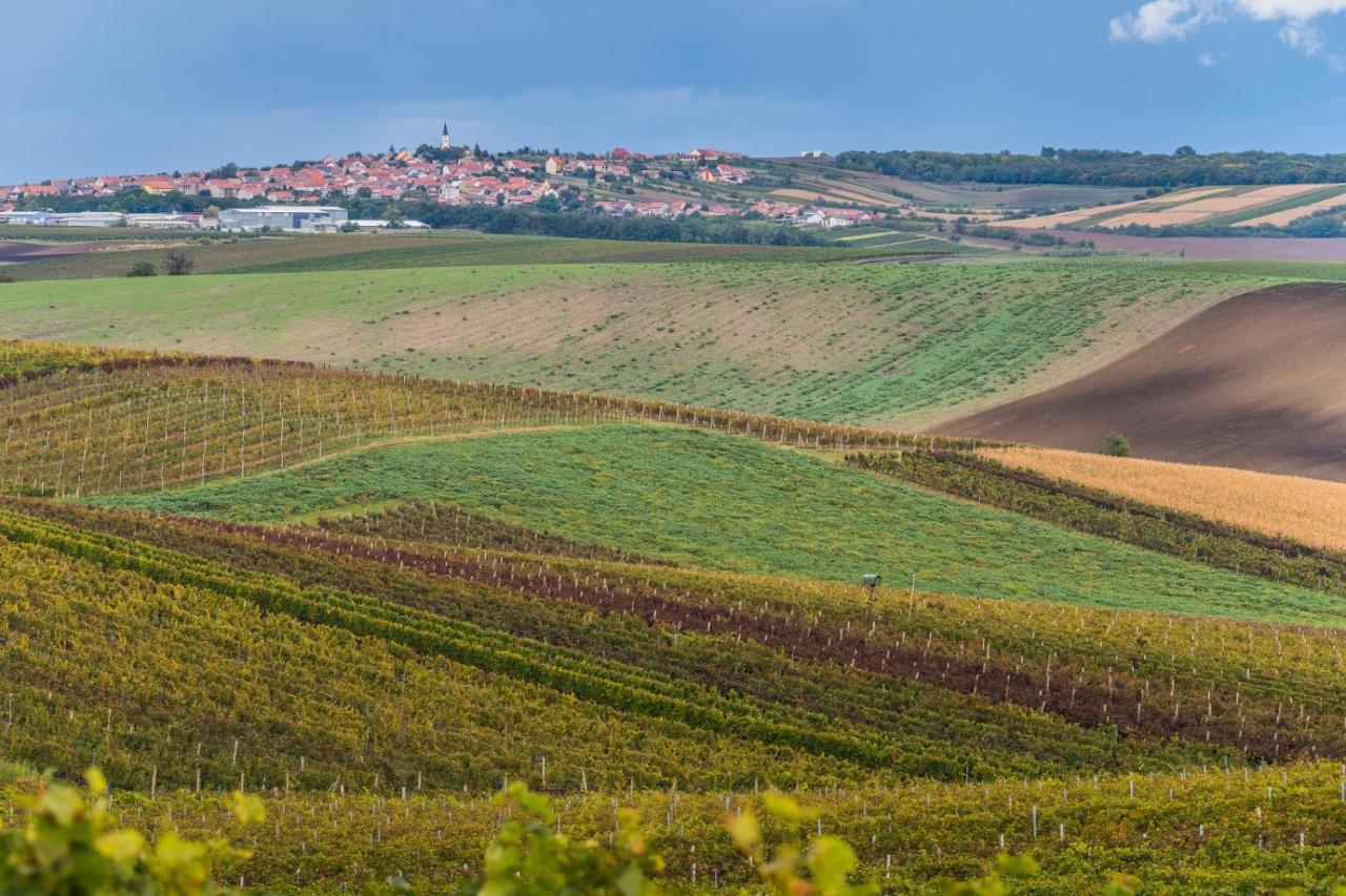 Vinoza - Ubytovani A Vinny Sklep Velke Bilovice Rulandova Exteriör bild