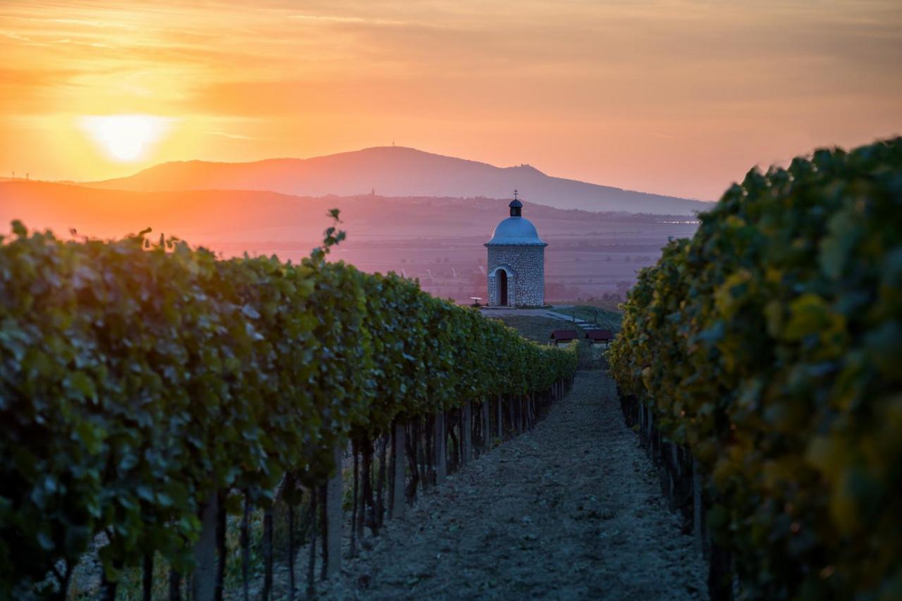 Vinoza - Ubytovani A Vinny Sklep Velke Bilovice Rulandova Exteriör bild
